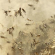 locusts locusts