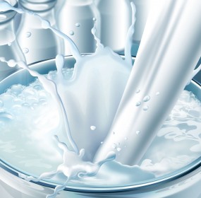 milk milk