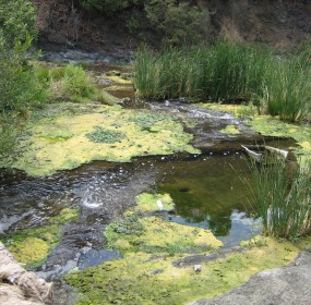 pollution pollution