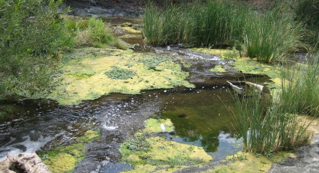 pollution