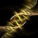 TELEOLOGICAL CAUSALITY TELEOLOGICAL CAUSALITY
